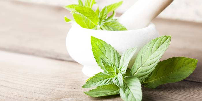 Dietmed - HORTELÃ-PIMENTA
