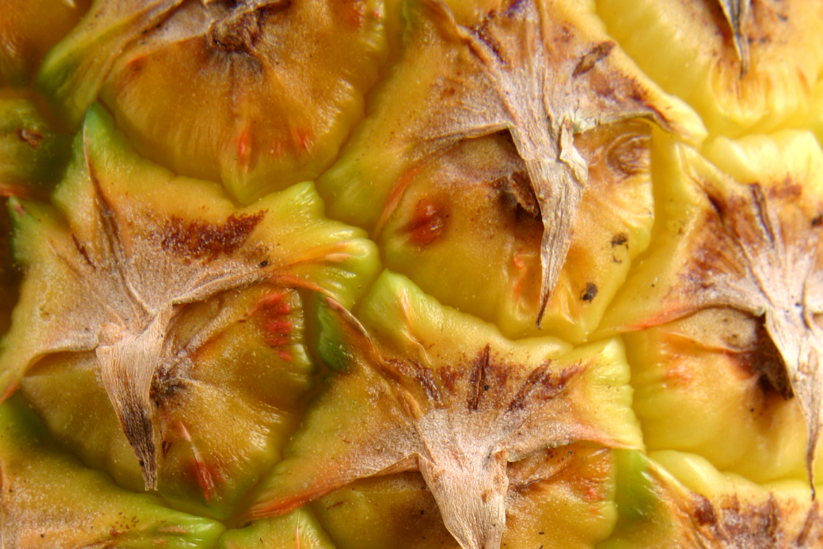 Dietmed - BROMELAÍNA